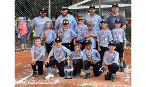 2024 8u Baseball Tournament & Season Champions Holt 8u undefeated